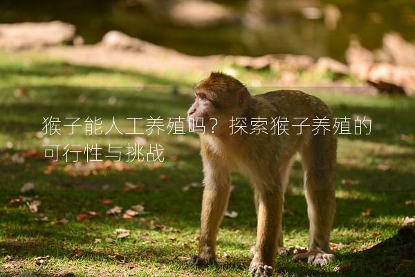 猴子能人工養殖嗎？探索猴子養殖的可行性與挑戰